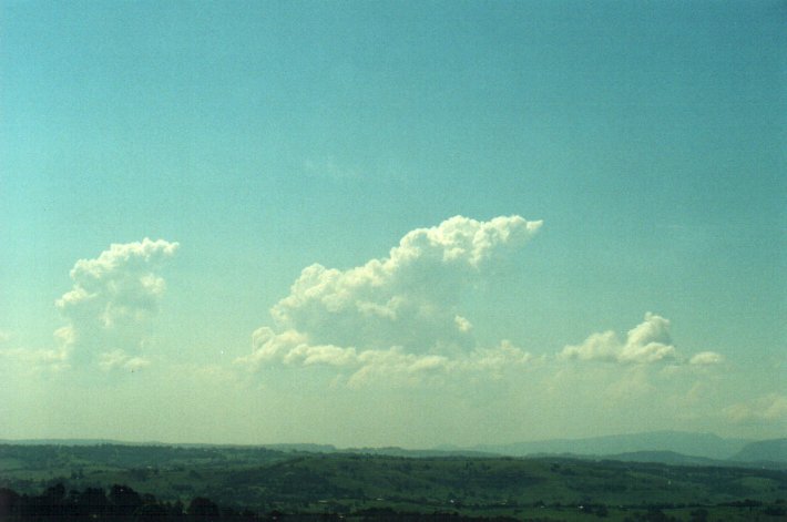 cumulus congestus : McLeans Ridges, NSW   30 November 2000