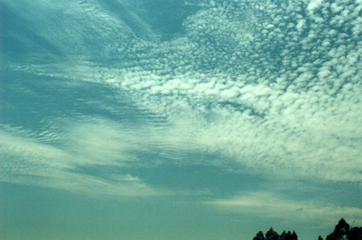 altocumulus altocumulus_cloud : McLeans Ridges, NSW   1 December 2000