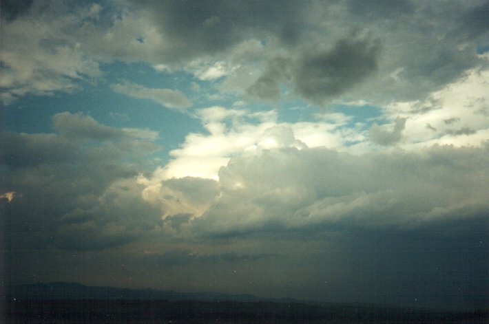 cumulus congestus : McLeans Ridges, NSW   1 December 2000