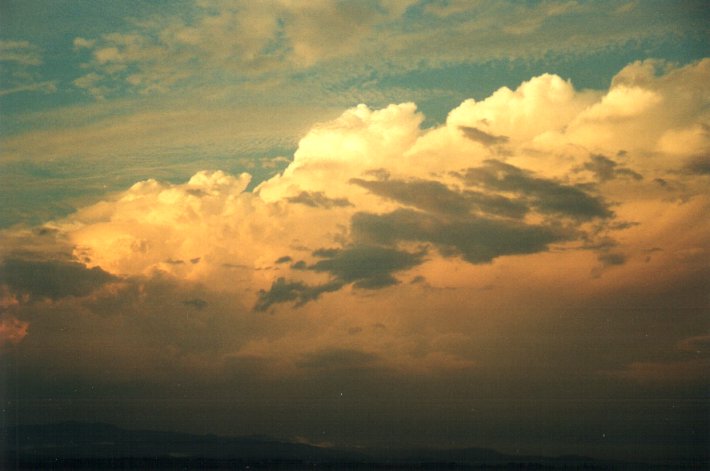 thunderstorm cumulonimbus_calvus : McLeans Ridges, NSW   1 December 2000