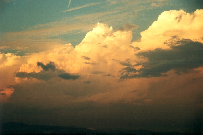 thunderstorm cumulonimbus_calvus : McLeans Ridges, NSW   1 December 2000