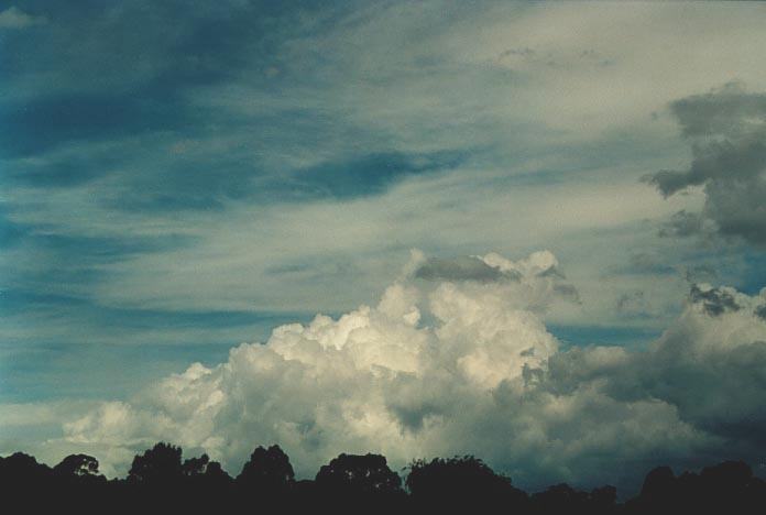 cumulus mediocris : Tingha, NSW   4 December 2000