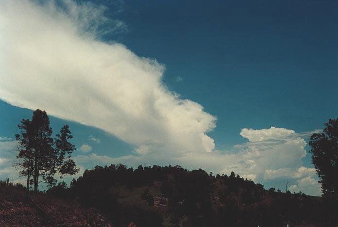 thunderstorm cumulonimbus_calvus : Putty Road Howes Valley, NSW   6 December 2000