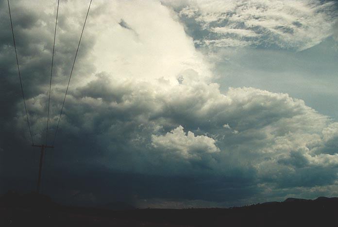 cumulonimbus thunderstorm_base : N of Jerrys Plains, NSW   6 December 2000