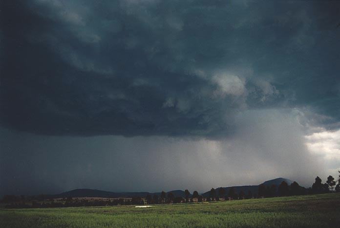 cumulonimbus thunderstorm_base : W of Jerrys Plains, NSW   6 December 2000