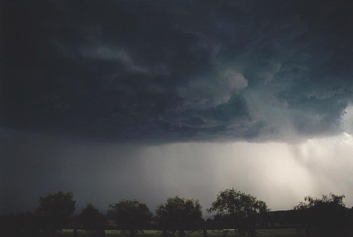 raincascade precipitation_cascade : W of Jerrys Plains, NSW   6 December 2000