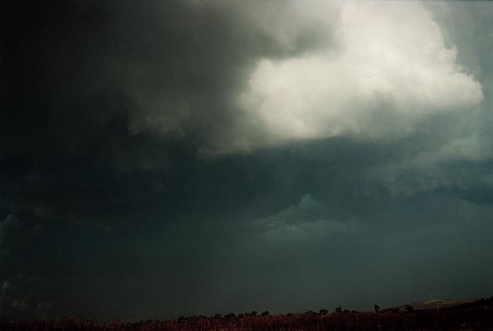 cumulonimbus thunderstorm_base : Muswellbrook, NSW   6 December 2000