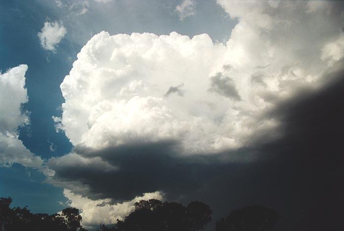 cumulonimbus thunderstorm_base : N of Muswellbrook, NSW   6 December 2000