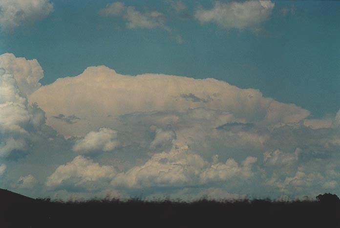 cumulonimbus supercell_thunderstorm : E of Walcha, NSW   7 December 2000