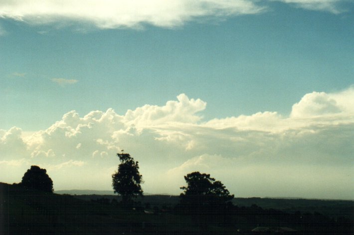cumulus congestus : McLeans Ridges, NSW   7 December 2000