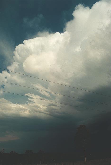 updraft thunderstorm_updrafts : N of Grafton, NSW   8 December 2000