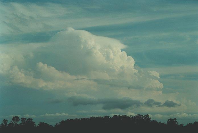 pileus pileus_cap_cloud : near Grafton, NSW   8 December 2000