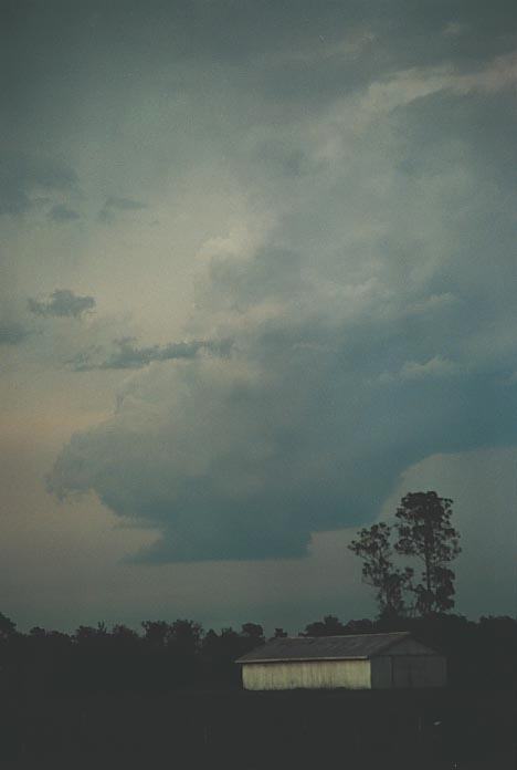 cumulonimbus supercell_thunderstorm : Grafton, NSW   8 December 2000