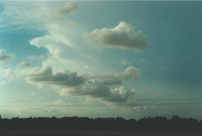 stratocumulus stratocumulus_cloud : S of Casino, NSW   9 December 2000