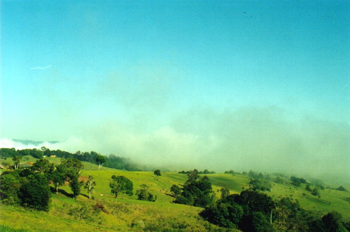 fogmist fog_mist_frost : McLeans Ridges, NSW   9 December 2000