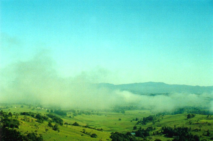 fogmist fog_mist_frost : McLeans Ridges, NSW   9 December 2000