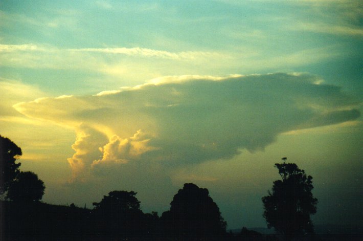 thunderstorm cumulonimbus_incus : McLeans Ridges, NSW   11 December 2000