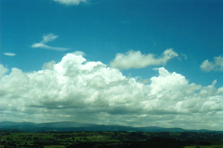 cumulus congestus : McLeans Ridges, NSW   17 December 2000