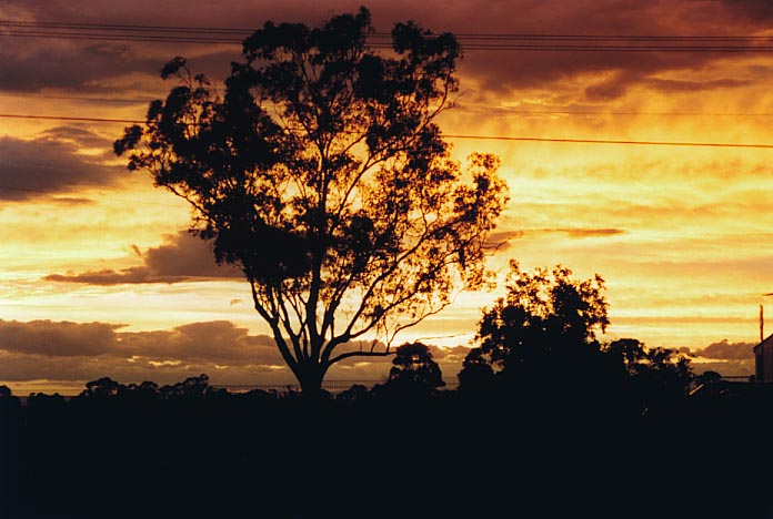 altostratus altostratus_cloud : Schofields, NSW   23 December 2000