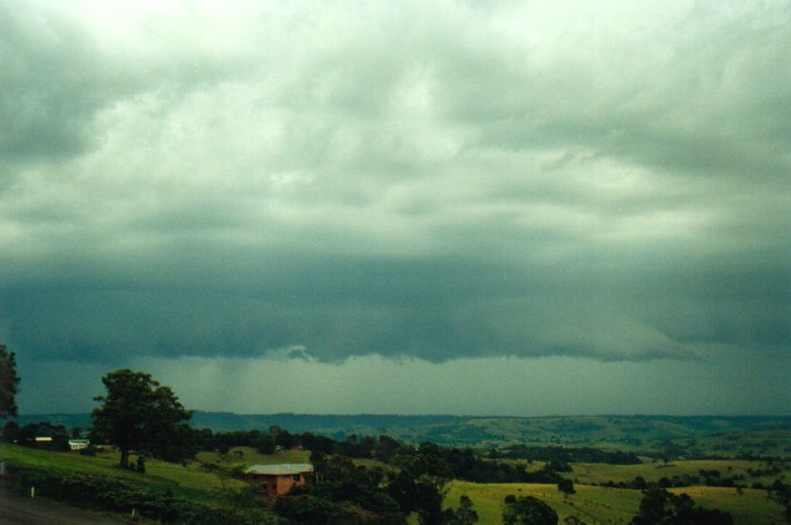 cumulonimbus thunderstorm_base : McLeans Ridges, NSW   27 December 2000