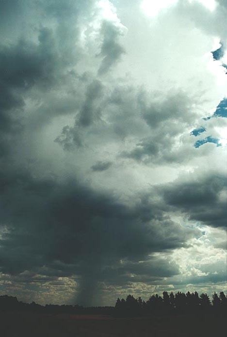 thunderstorm cumulonimbus_incus : Moss Vale, NSW   4 January 2001