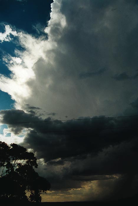 cumulonimbus thunderstorm_base : N of Marulan, NSW   4 January 2001