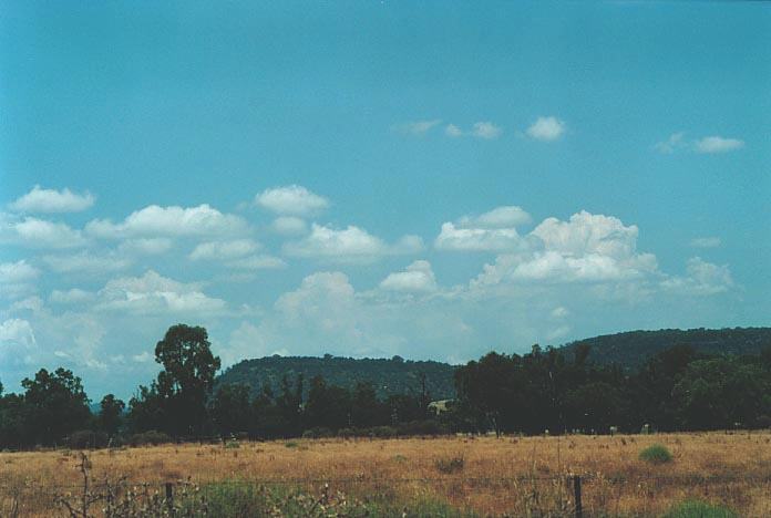 cumulus humilis : Gunnedah, NSW   8 January 2001