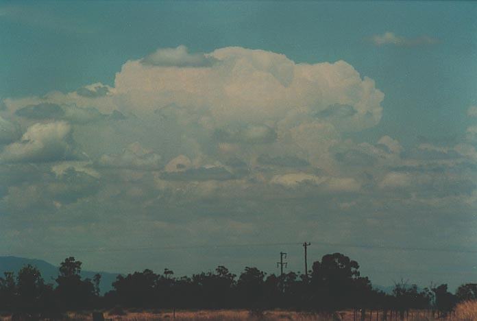 cumulus humilis : Gunnedah, NSW   8 January 2001