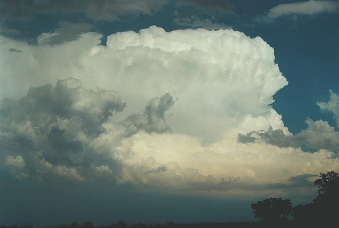 thunderstorm cumulonimbus_incus : near Purlewaugh, NSW   8 January 2001