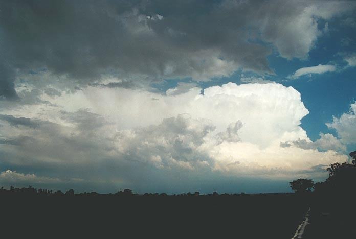 thunderstorm cumulonimbus_incus : near Purlewaugh, NSW   8 January 2001