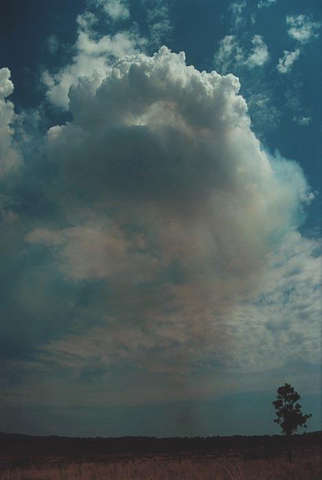 altocumulus altocumulus_cloud : Narrabri, NSW   16 January 2001