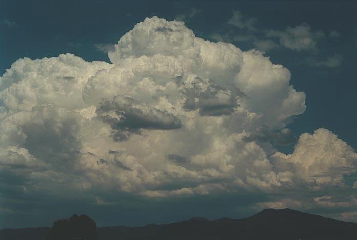 thunderstorm cumulonimbus_incus : Narrabri, NSW   16 January 2001