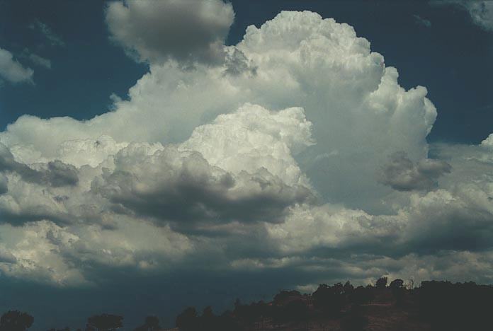 updraft thunderstorm_updrafts : E of Narrabri, NSW   16 January 2001