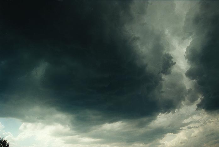 cumulonimbus thunderstorm_base : SW of Bingara, NSW   16 January 2001