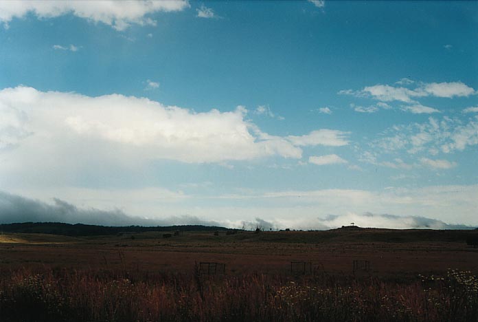 altocumulus altocumulus_cloud : W of Ebor, NSW   17 January 2001