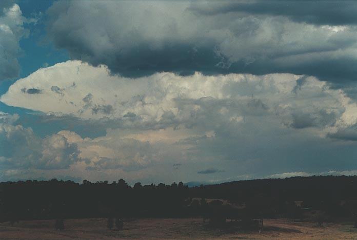 thunderstorm cumulonimbus_incus : W of Wongwibinda, NSW   17 January 2001