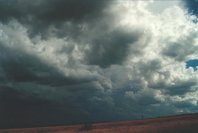 cumulonimbus thunderstorm_base : W of Wongwibinda, NSW   17 January 2001