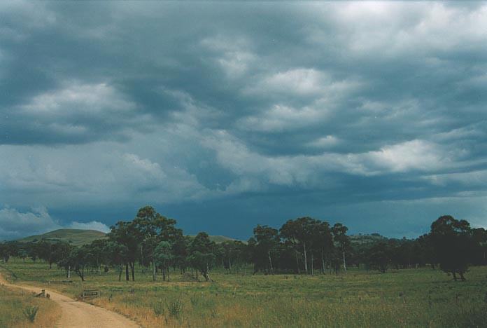 cumulonimbus thunderstorm_base : S of Wongwibinda, NSW   17 January 2001