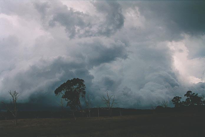 updraft thunderstorm_updrafts : S of Wongwibinda, NSW   17 January 2001