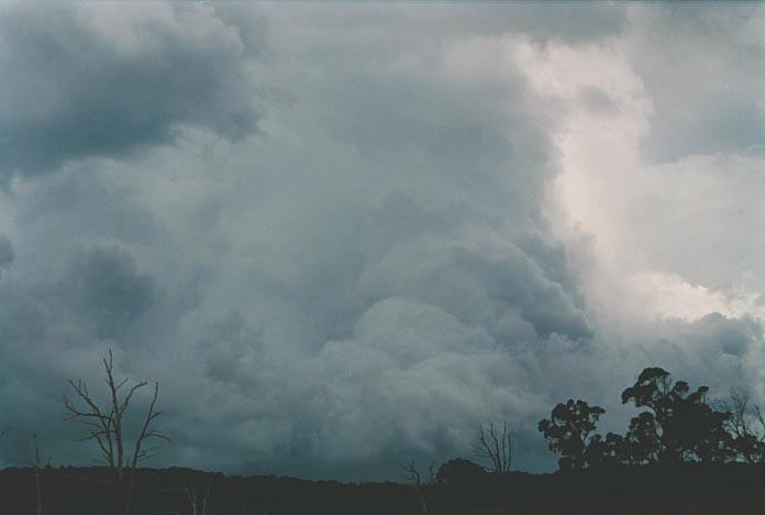 cumulonimbus supercell_thunderstorm : S of Wongwibinda, NSW   17 January 2001