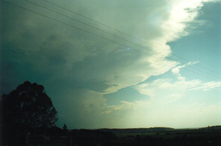 anvil thunderstorm_anvils : Wyrallah, NSW   17 January 2001