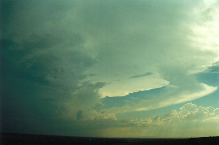 anvil thunderstorm_anvils : Parrots Nest, NSW   17 January 2001