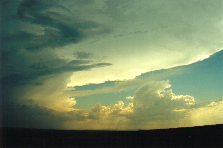 cumulonimbus supercell_thunderstorm : Parrots Nest, NSW   17 January 2001