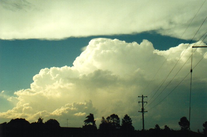 anvil thunderstorm_anvils : Parrots Nest, NSW   17 January 2001