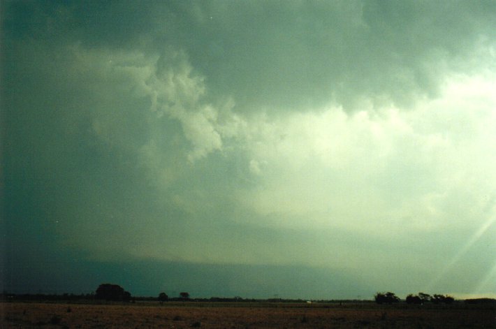 cumulonimbus supercell_thunderstorm : McKees Hill, NSW   17 January 2001