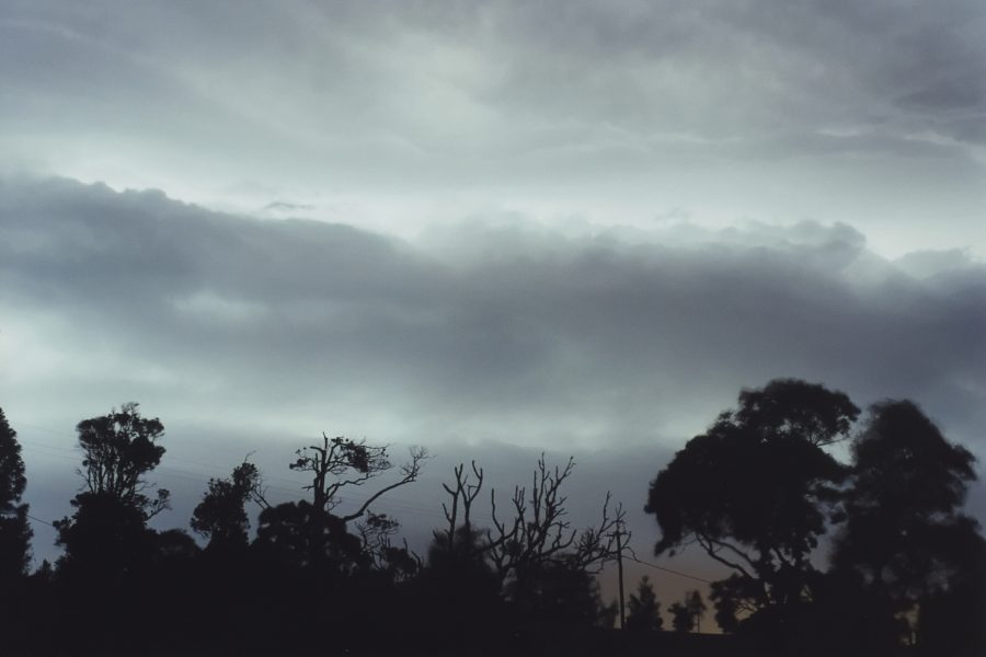 lightning lightning_bolts : McLeans Ridges, NSW   17 January 2001