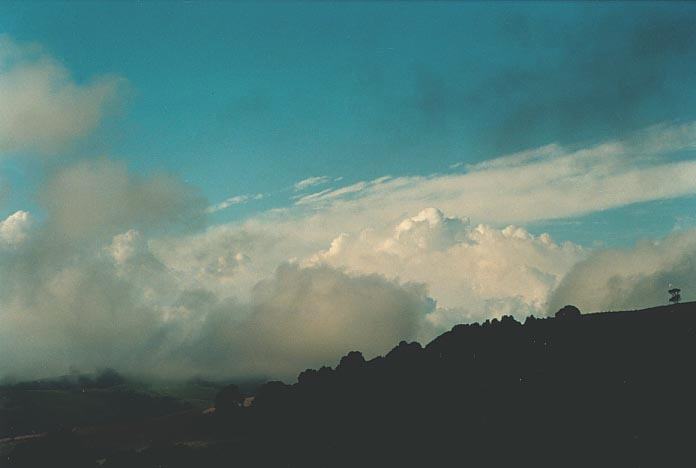 thunderstorm cumulonimbus_calvus : Dorrigo, NSW   18 January 2001