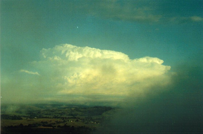 thunderstorm cumulonimbus_incus : McLeans Ridges, NSW   18 January 2001