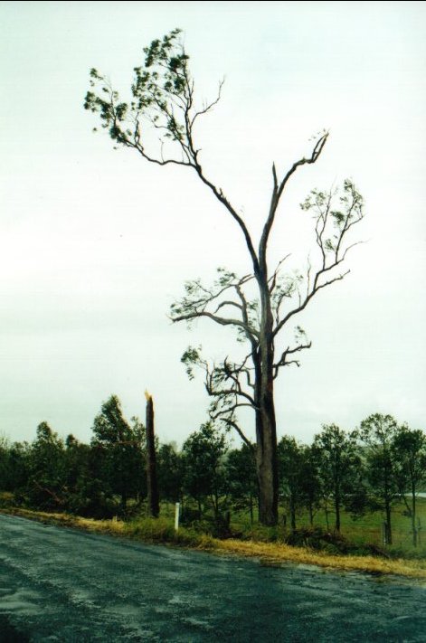 disasters storm_damage : Casino, NSW   19 January 2001