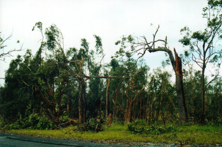 disasters storm_damage : Casino, NSW   19 January 2001